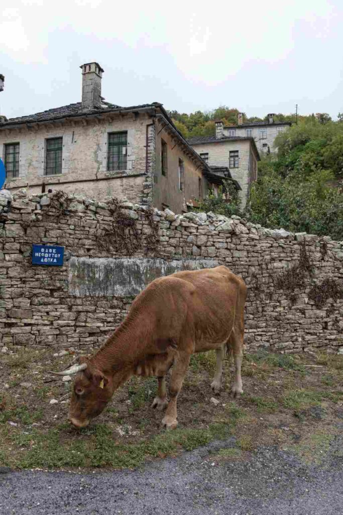 &Alpha;&Nu;&Omega; &Pi;&Epsilon;&Delta;&Iota;&Nu;&Alpha; 12 1025x1536 1 - Gastronomy Tours