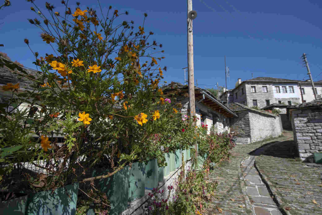 &Kappa;&Alpha;&Pi;&Epsilon;&Sigma;&Omicron;&Beta;&Omicron; 08 1536x1025 1 - Gastronomy Tours