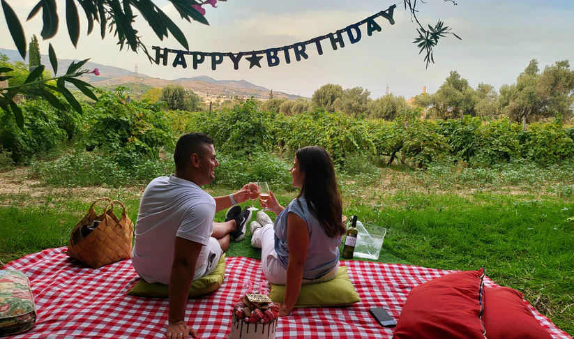Picnic at the Vineyard at Roxane Matsa Estate - Gastronomy Tours Picnic at the Vineyard at Roxane Matsa Estate