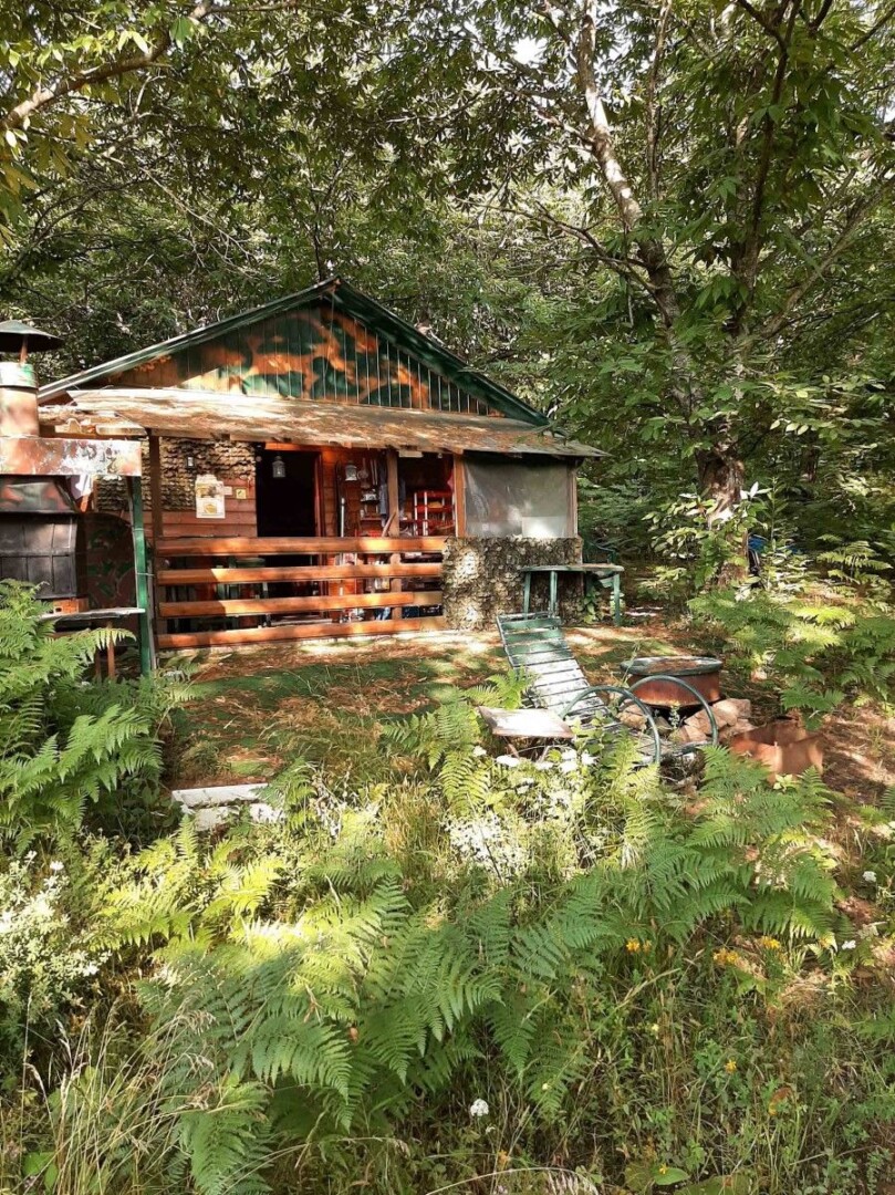 Enchanting Truffle Hunting Adventure on Mount Olympus - Gastronomy Tours Enchanting Truffle Hunting Adventure on Mount Olympus