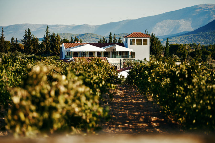 Chateau Kaniaris - Gastronomy Tours Chateau Kaniaris