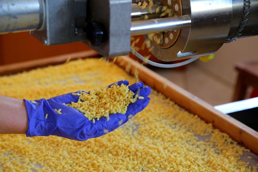 Production of Pasta and Trahana at Dardouma Family - Gastronomy Tours Production of Pasta and Trahana at Dardouma Family