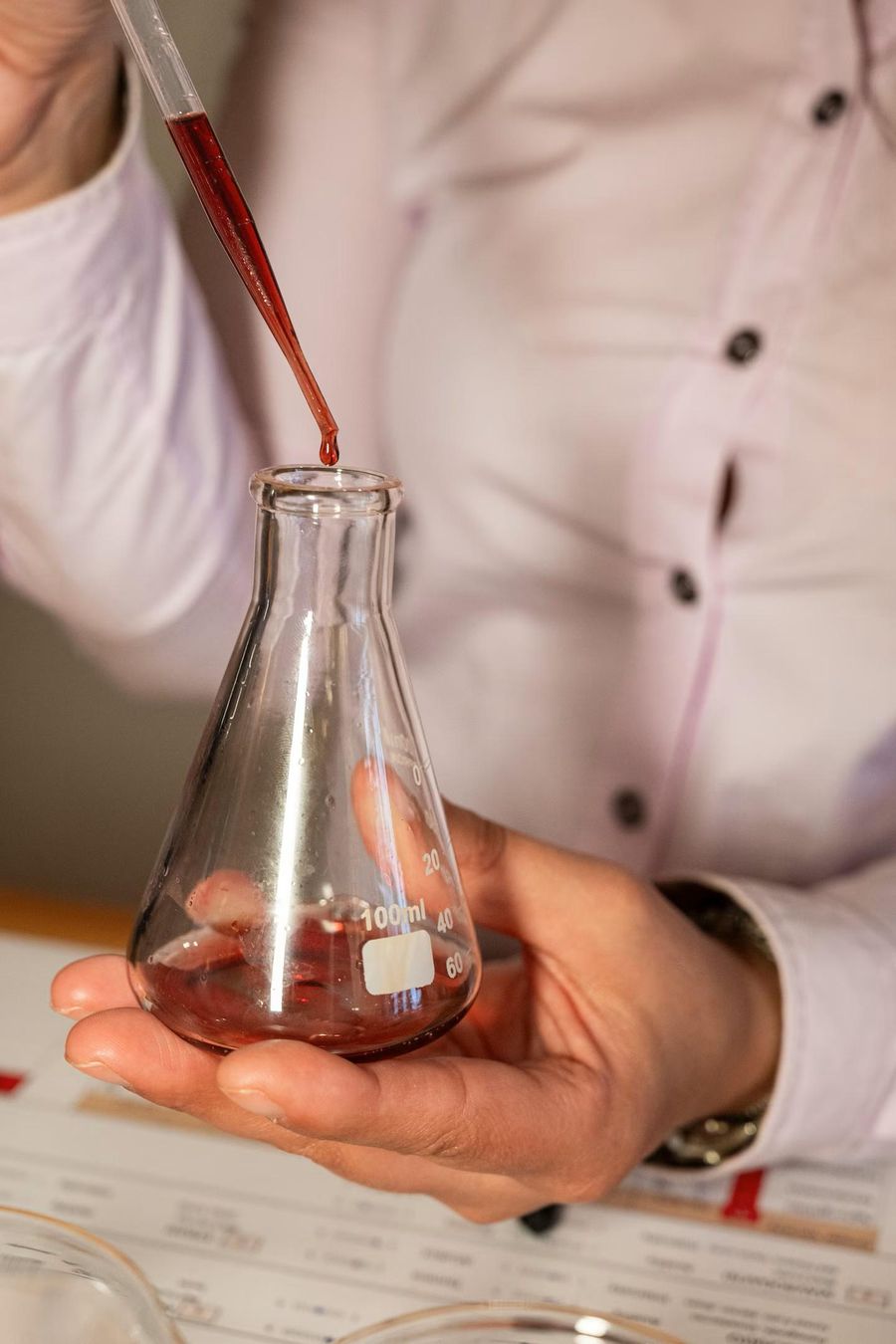 Wine Making Workshop - Make your Own Bottle of Wine in Athens City Center - Gastronomy Tours Wine Making Workshop – Make your Own Bottle of Wine in Athens City Center