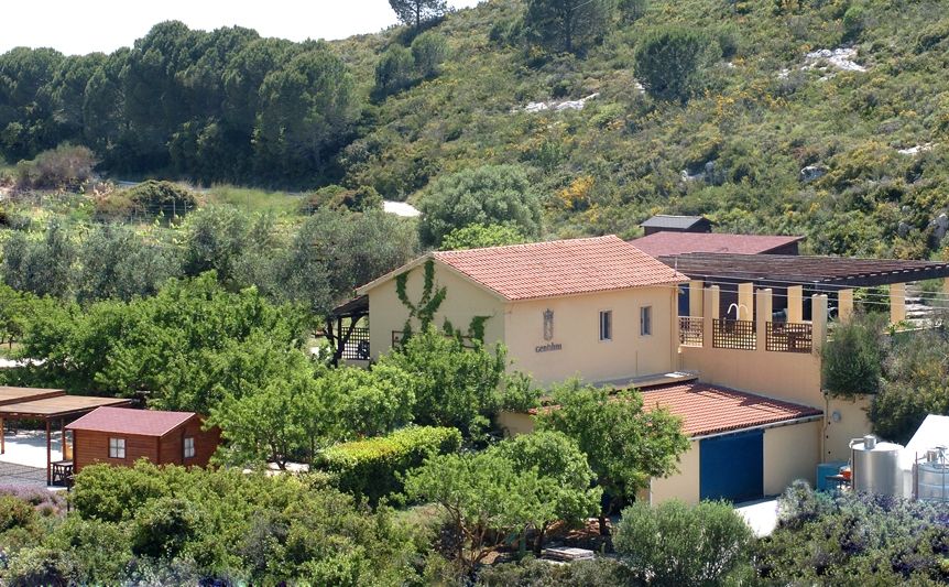 Gentilini Winery & Vineyards - Gastronomy Tours Gentilini Winery & Vineyards