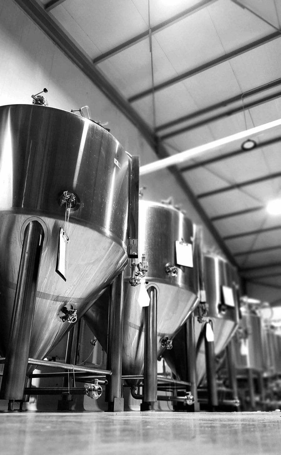 Kalamata's Beer Company - Gastronomy Tours Kalamata’s Beer Company