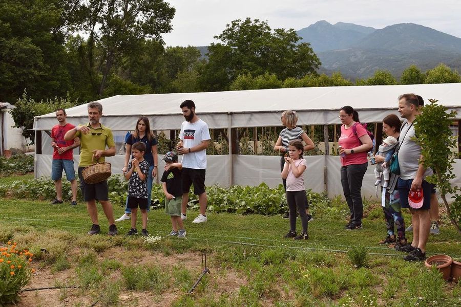 Discover the Essence of Thrace Through Herbs & Flavors at Grizo & Prasino