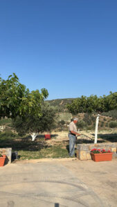 1EE07606-F692-4025-80DE-47CAEDB6D349.jpeg