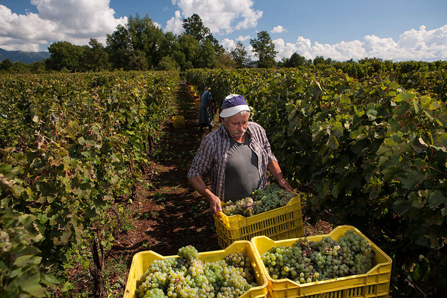 Zoinos Winery