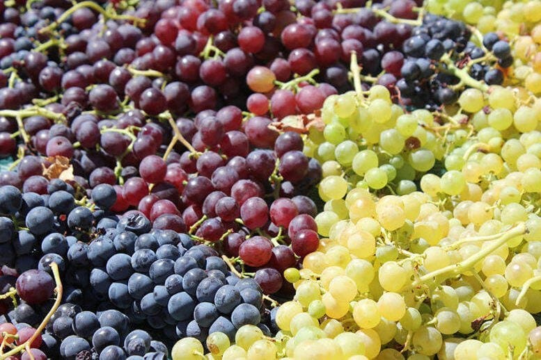Grape a fruit with high nutritional value - Gastronomy Tours Grape a fruit with high nutritional value