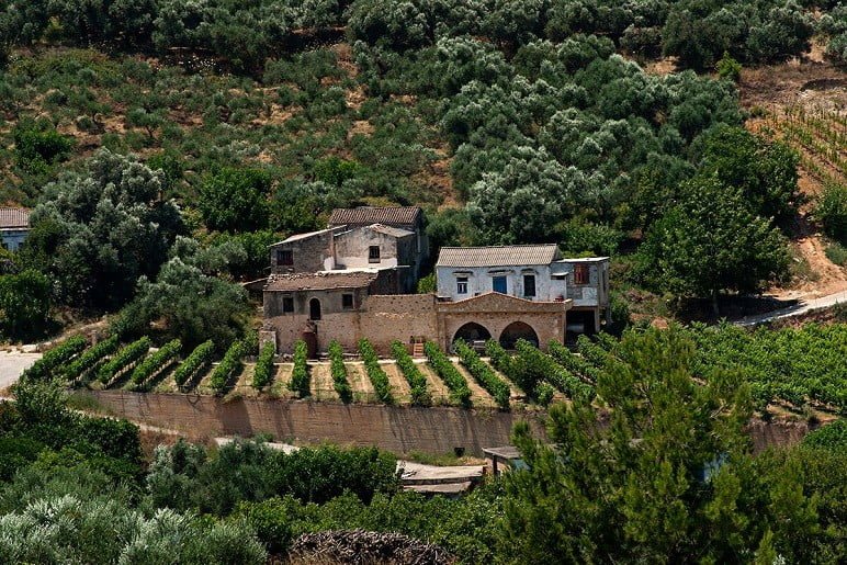 Anoskeli - The new awards - Gastronomy Tours ‘Anoskeli’ surrounded by vineyards and has new awards|