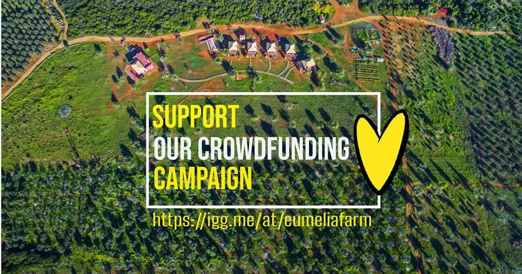 Eumelia community, support our effort to go off-grid - Gastronomy Tours support our effort to go off-grid'