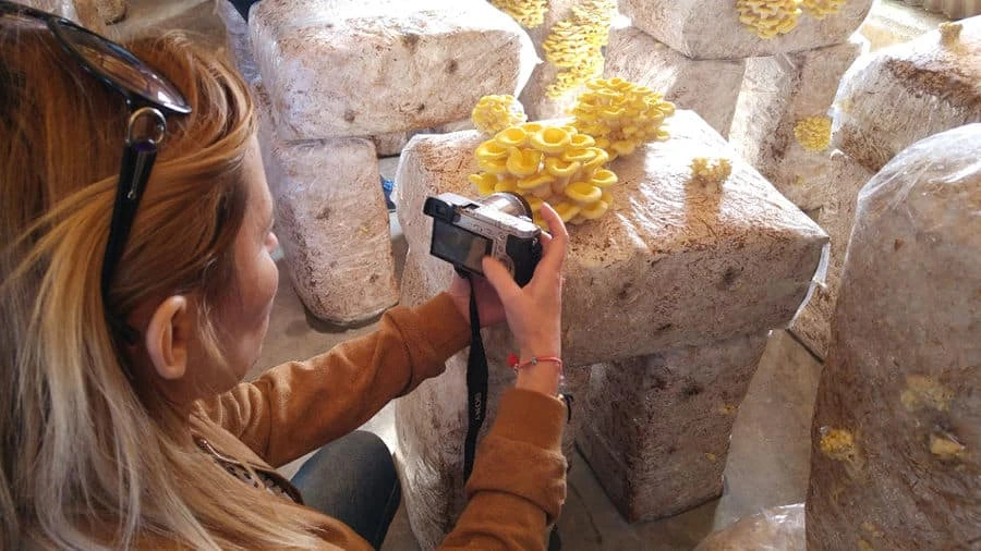Contact Us - Gastronomy Tours 1y7OLr dirfis Ξενάγηση 4 - Gastronomy Tours