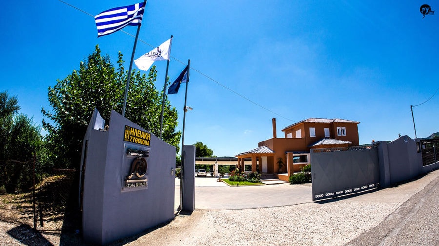 Elis Brewery - Gastronomy Tours Elis Brewery