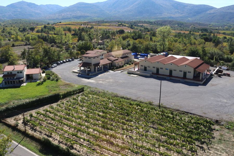 Tselepos Winery - Gastronomy Tours Tselepos Winery