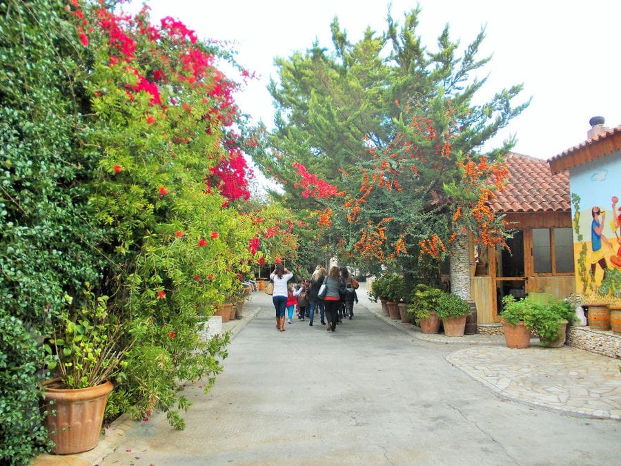 Zahaios - Gastronomy Tours Zahaios