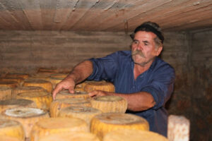 old man with mustache placing graviera cheeses on the wood shelve at 'Galeni' farm