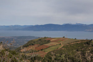 mountains and sea view from the top in the area of 'Ancheon Winery'
