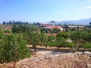 trees and blue sky front the Chateau Kaniaris winery buildings
