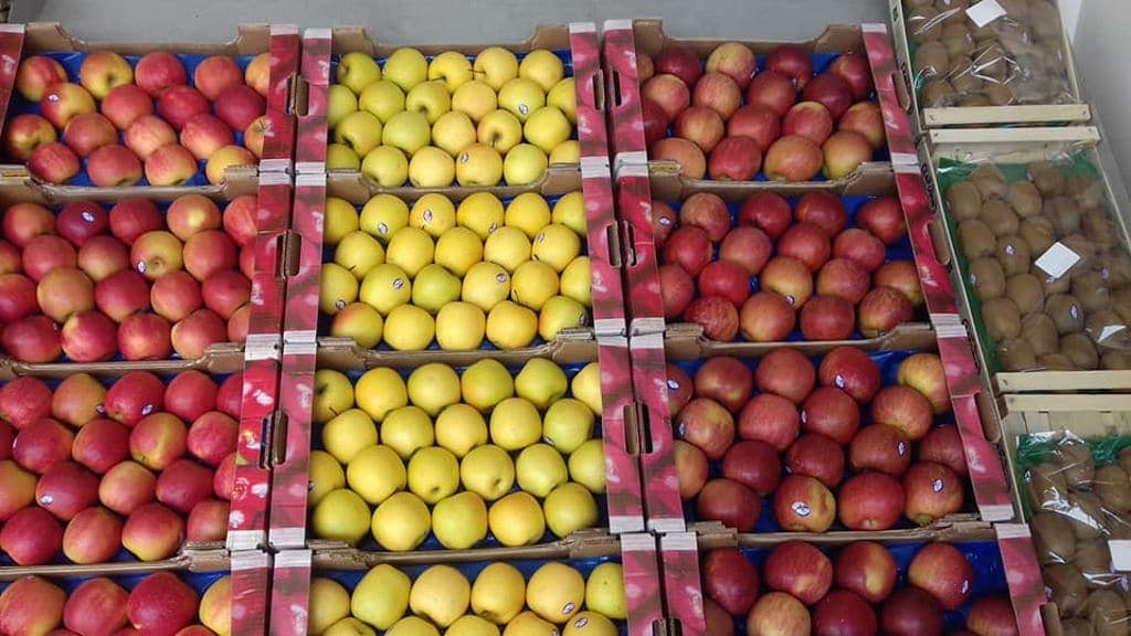 Zagorin Awards - Gastronomy Tours crates with red and white apples at ‘Zagorin’ recognized with many awards|