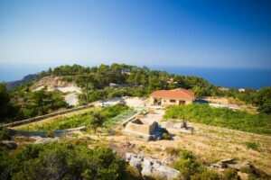 Afianes wines from above, surrounded by trees and vines and the blue sky in the background