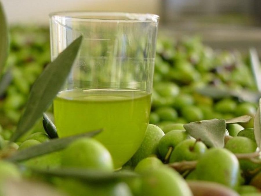 Glossary - Gastronomy Tours Agoureleo