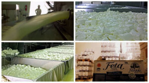 montaj of views of tanks for cheese stewing with cheeses at 'Flegga Creamery' plant