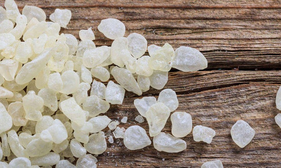 Mastiha - Gastronomy Tours Close-up of pieces of white ‘mastiha’ on wooden surface