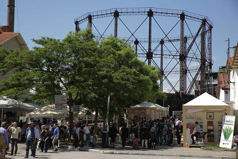 Bio Festival - Gastronomy Tours RS3B3597 800x534 2 - Gastronomy Tours