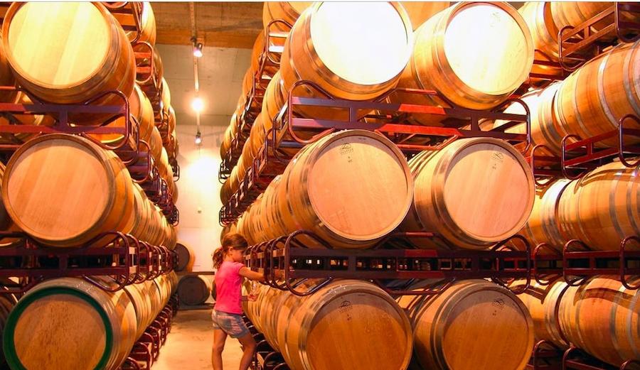 European Day of Wine Tourism 2022 - Gastronomy Tours European Day of Wine Tourism 2022