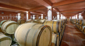 rows of wine wood barrels on top of each other at illuminated Alpha Estate cellar