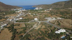 'Amorgion' from above, surrounded by trees, buildings and vines in the background of sea