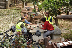 aristaios 13e-bike 3.jpg