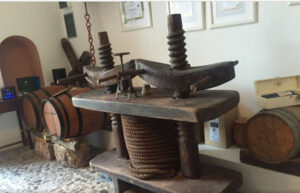 wooden barrels and old grapes press at Avantis Estate