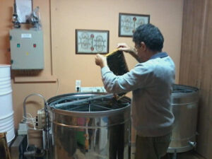 man holds hive with honey and puts it in the mixing machine at Beekeeping Athamari