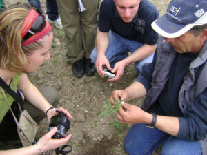 tourists with a camera watching hands man that holding a green plant at Bio Goupios