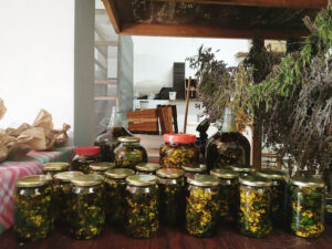 Bioporosglass jars with legumes covered with metal lids at Bioporos