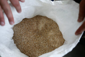 raffia sack with barleycorns at 'Chios Beer' premises