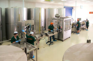 womens and men dressed with green forms work on production machines at Critida premises