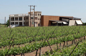 on side of 'Domaine Migas' building with two floors surronded by vineyards