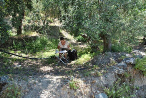 woman sitting on the table and reading in the shade of the olive trees at 'Eirini Plomariou' crops