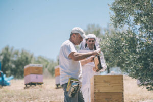 a man holding a honeycomb panel and a beekeeper girl watching it in nature at 'Ermionis'