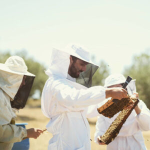a beekeeper man holding a honeycomb panel and a bee hive scraper knife and two beekeepers girls watching it in nature at 'Ermionis'