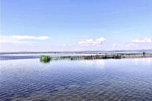 far view of Stefanos Kaneletis’ fish farming on the sea