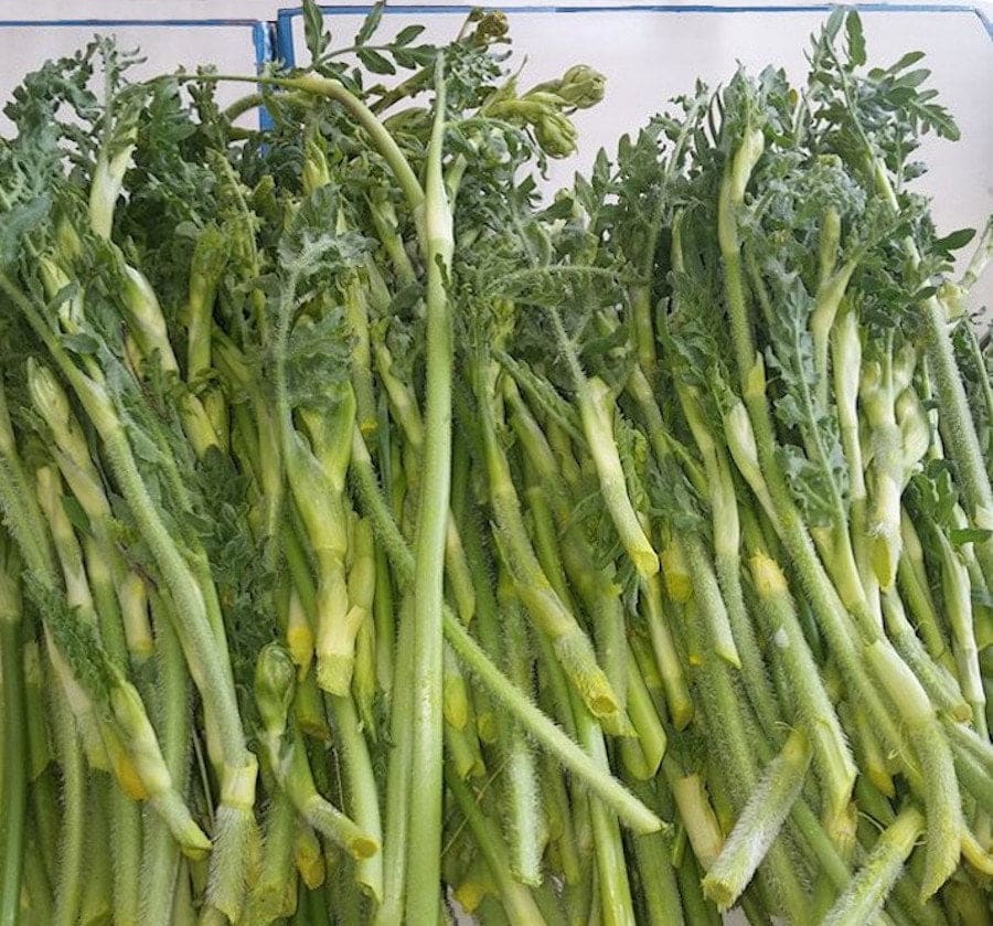 Kalfa - Gastronomy Tours close-up of cutted fresh Greek ‘Kalfa’ is a green that has the appearance of thick