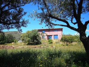 green high grass and two trees and Korogonas Ark pink building in the background