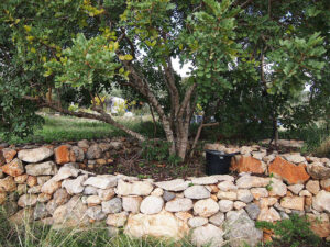 tree trunk in nature and surrounded by rocks on top of each other at Korogonas Ark with a bucket next to it