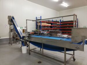 A powerful machine at work, gracefully extracting the essence of olives, a testament to the art and precision behind creating this liquid treasure.