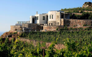view of 'Manalis Winery' vineyards in the background of blue sky and the building