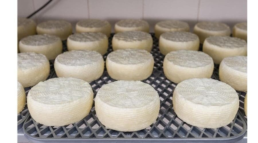 Melichloro - Gastronomy Tours Greek small wheels of cheese ‘Melichloro’ creamy taste with a texture ranging from medium to hard