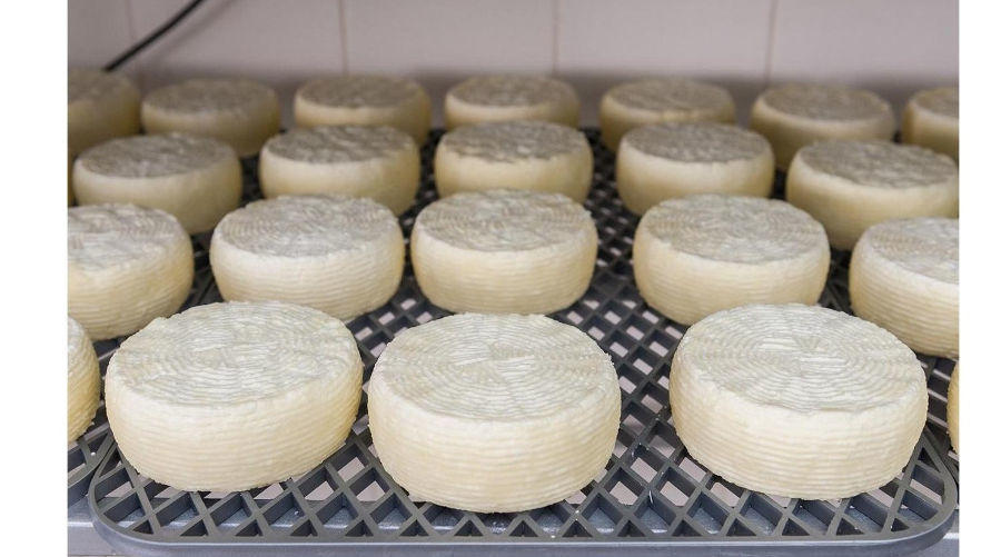 Melipasto - Gastronomy Tours Greek small wheels of cheese ‘Melipasto’ creamy taste with a texture ranging from medium to hard